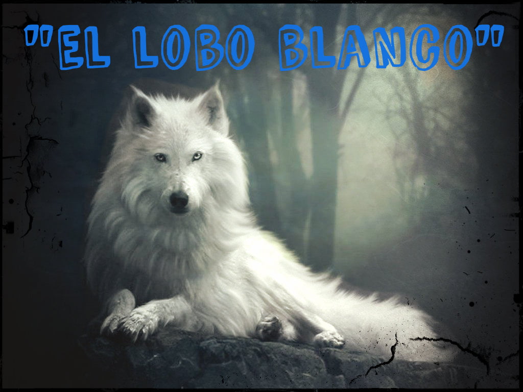 Fábula El Lobo Blanco - Fábulas de animales