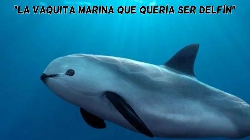 La vaquita marina que quería ser delfín